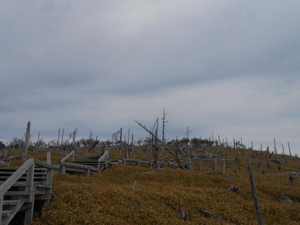 大台ケ原と言えば。の風景。